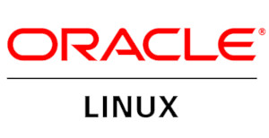 oracle-partner-logo